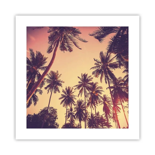 Affiche - Poster - Variation tropicale - 40x40 cm