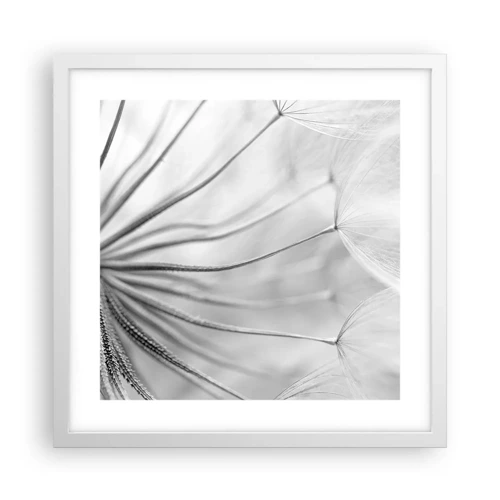 Affiche dans un cadre blanc - Poster - Aigrette avant son envol - 40x40 cm