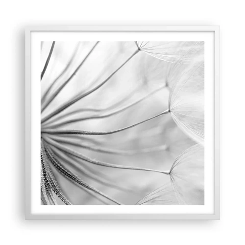 Affiche dans un cadre blanc - Poster - Aigrette avant son envol - 60x60 cm