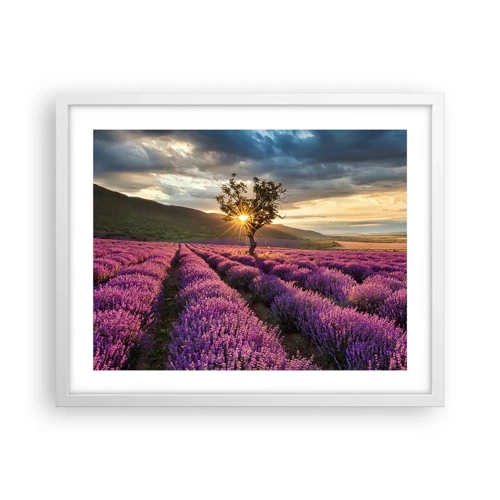Affiche dans un cadre blanc - Poster - Arôme de couleur lilas - 50x40 cm
