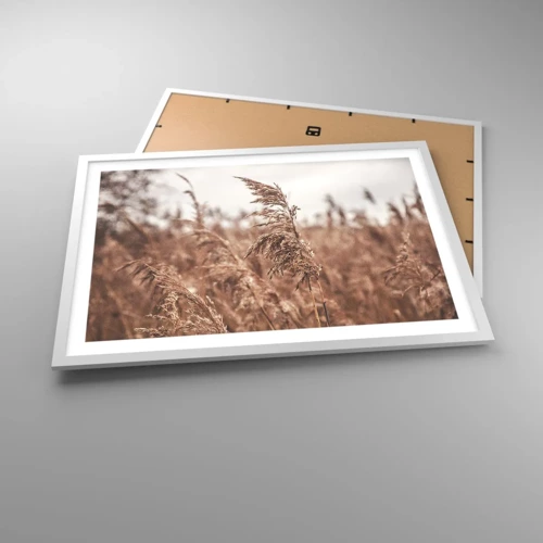 Affiche dans un cadre blanc - Poster - C'est déjà l'automne dans les champs - 70x50 cm