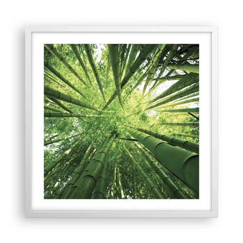 Affiche dans un cadre blanc - Poster - Dans une bambouseraie - 50x50 cm