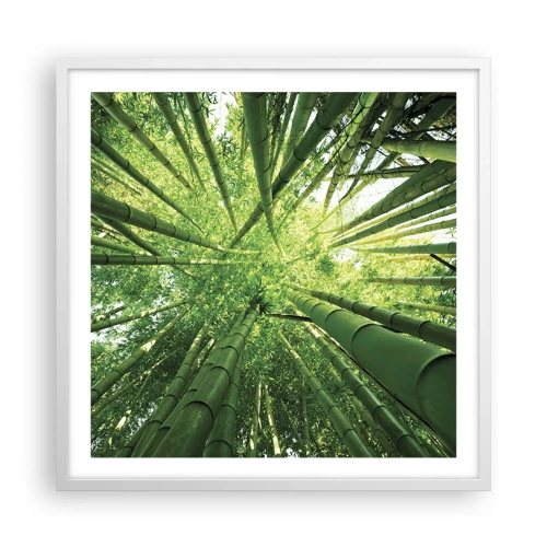 Affiche dans un cadre blanc - Poster - Dans une bambouseraie - 60x60 cm