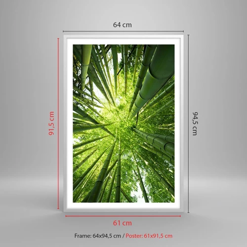 Affiche dans un cadre blanc - Poster - Dans une bambouseraie - 61x91 cm
