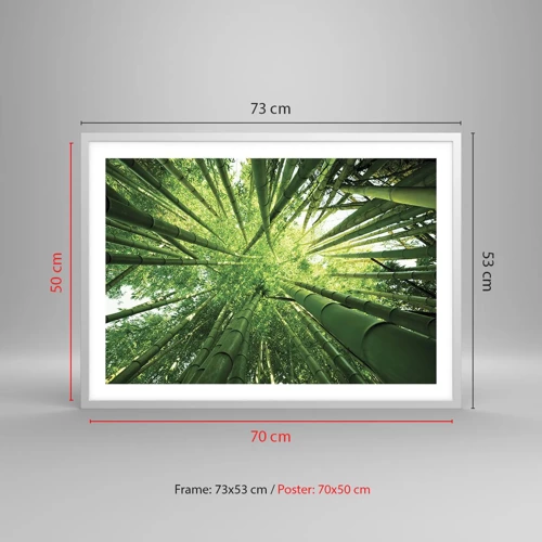 Affiche dans un cadre blanc - Poster - Dans une bambouseraie - 70x50 cm