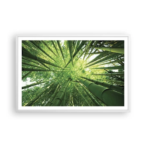 Affiche dans un cadre blanc - Poster - Dans une bambouseraie - 91x61 cm