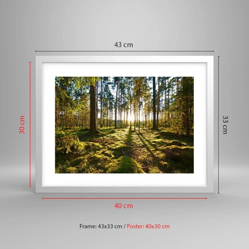 Affiche dans un cadre blanc - Poster - … Derrière les sept forêts - 40x30 cm
