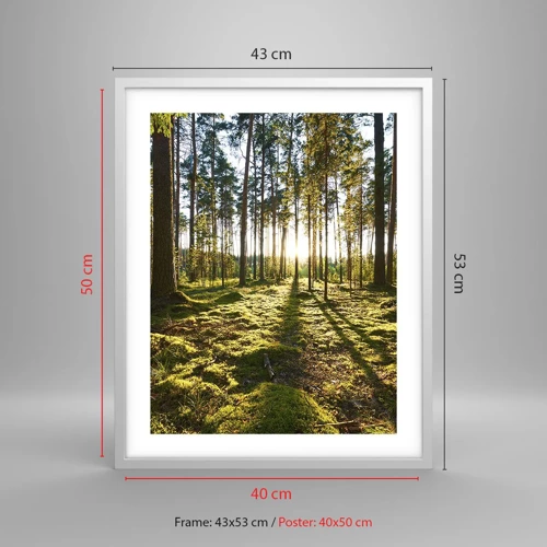 Affiche dans un cadre blanc - Poster - … Derrière les sept forêts - 40x50 cm