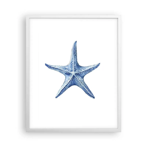 Affiche dans un cadre blanc - Poster - Étoile de mer - 40x50 cm