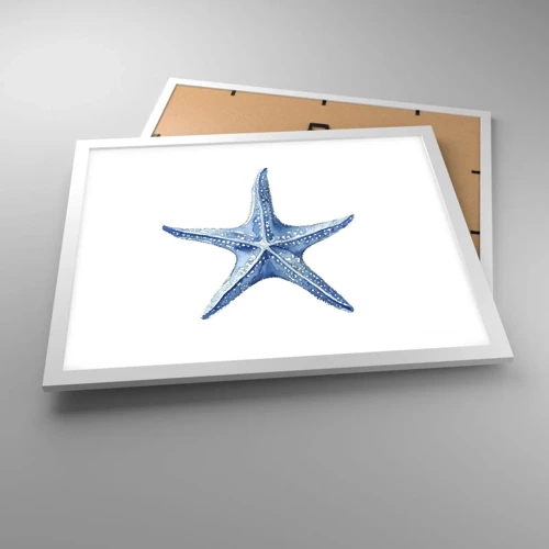 Affiche dans un cadre blanc - Poster - Étoile de mer - 50x40 cm