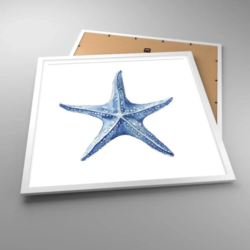 Affiche dans un cadre blanc - Poster - Étoile de mer - 60x60 cm