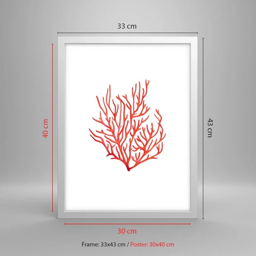 Affiche dans un cadre blanc - Poster - Filigrane de corail - 30x40 cm