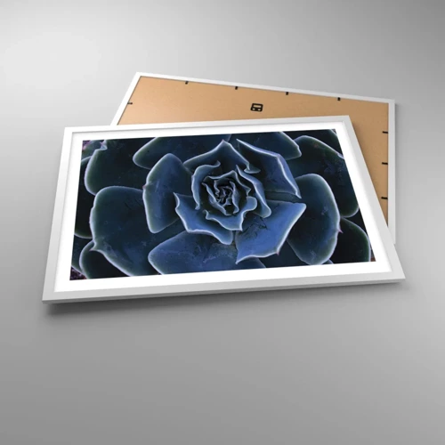 Affiche dans un cadre blanc - Poster - Fleur du désert - 70x50 cm