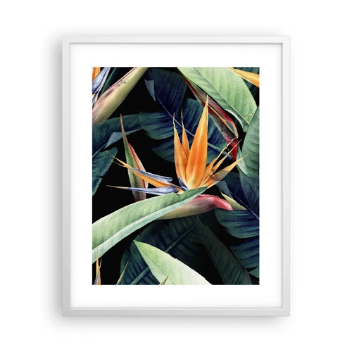 Affiche dans un cadre blanc - Poster - Fleurs flamboyantes des tropiques - 40x50 cm