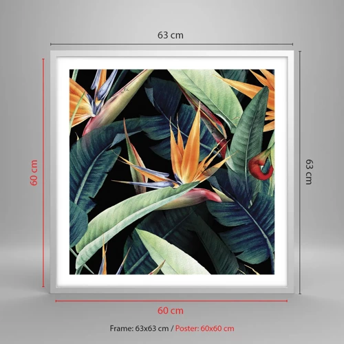 Affiche dans un cadre blanc - Poster - Fleurs flamboyantes des tropiques - 60x60 cm