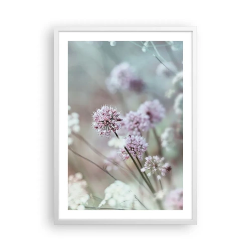 Affiche dans un cadre blanc - Poster - Herbes douces en filigrane - 50x70 cm