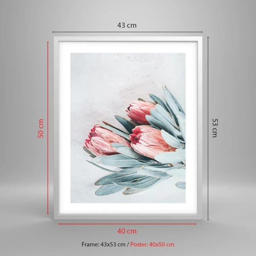 Affiche dans un cadre blanc - Poster - Honte de leur propre beauté - 40x50 cm