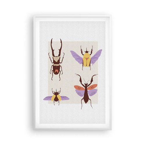 Affiche dans un cadre blanc - Poster - Le monde des insectes - 61x91 cm