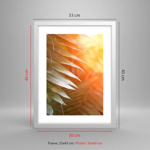 Affiche dans un cadre blanc - Poster - Matinée dans la jungle - 30x40 cm