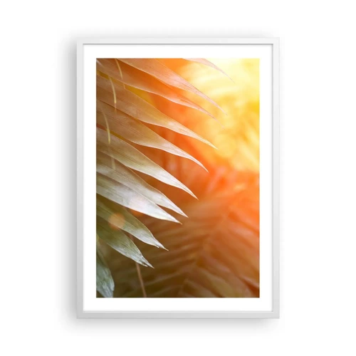 Affiche dans un cadre blanc - Poster - Matinée dans la jungle - 50x70 cm