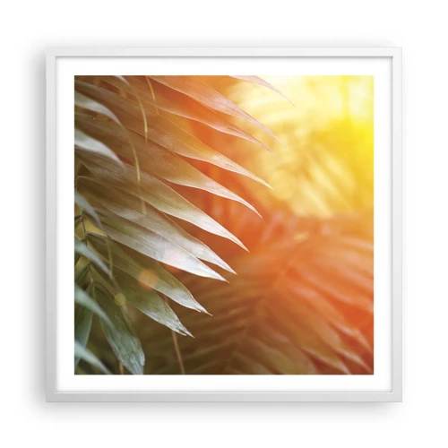Affiche dans un cadre blanc - Poster - Matinée dans la jungle - 60x60 cm