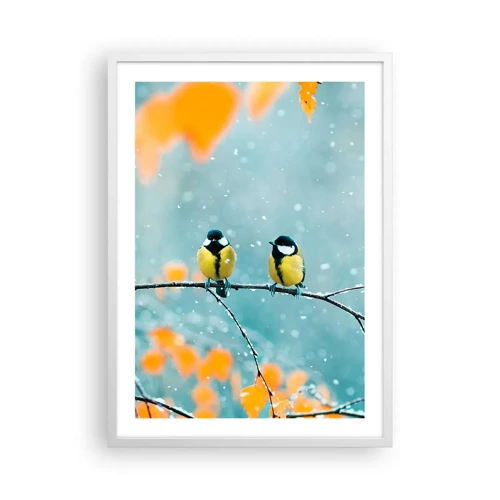 Affiche dans un cadre blanc - Poster - Potins d'oiseaux - 50x70 cm