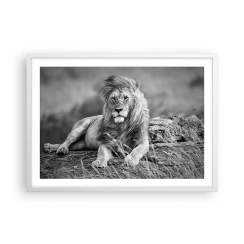 Affiche dans un cadre blanc - Poster - Sieste royale - 70x50 cm