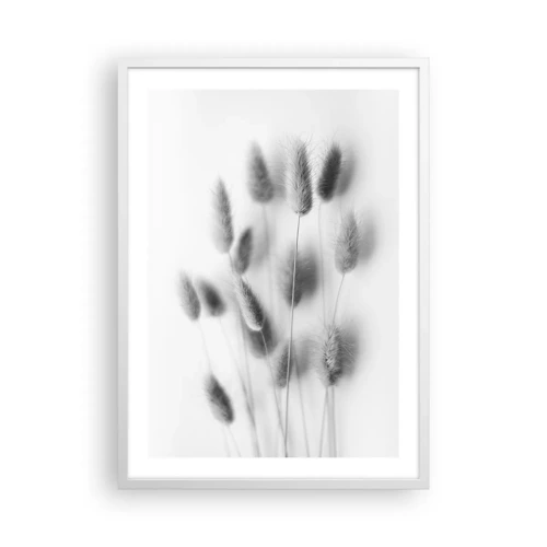 Affiche dans un cadre blanc - Poster - Son herbe duveteuse - 50x70 cm