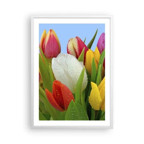 Affiche dans un cadre blanc - Poster - Un arc-en-ciel fleuri en gouttes de rosée - 50x70 cm