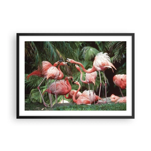 Affiche dans un cadre noir Arttor 70x50 cm - Potins d'après-midi - Un Troupeau De Flamants Roses, Oiseau, La Nature, Végétation Tropicale, Exotique, Pour le salon, Pour la chambre, Blanc, Noir, Horizontal, P2BAA70x50-4804