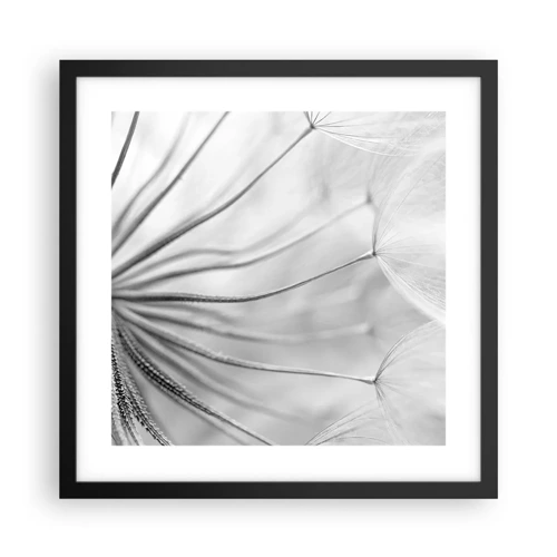 Affiche dans un cadre noir - Poster - Aigrette avant son envol - 40x40 cm