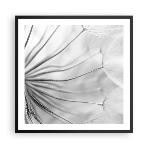 Affiche dans un cadre noir - Poster - Aigrette avant son envol - 60x60 cm