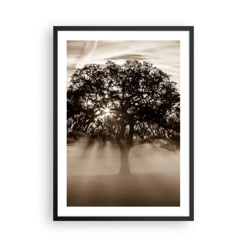 Affiche dans un cadre noir - Poster - Arbre de bonnes nouvelles - 50x70 cm