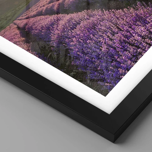 Affiche dans un cadre noir - Poster - Arôme de couleur lilas - 100x70 cm