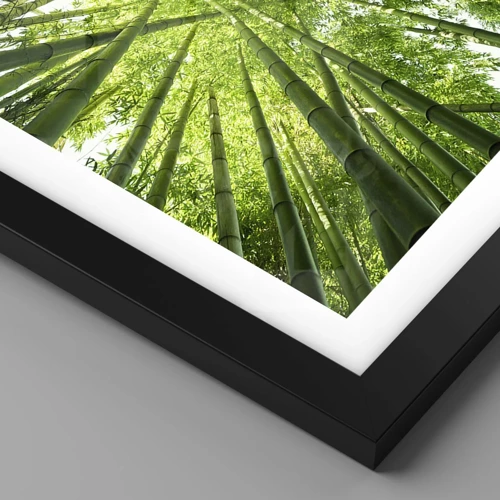 Affiche dans un cadre noir - Poster - Dans une bambouseraie - 100x70 cm