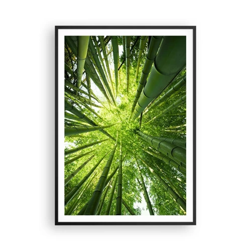 Affiche dans un cadre noir - Poster - Dans une bambouseraie - 70x100 cm