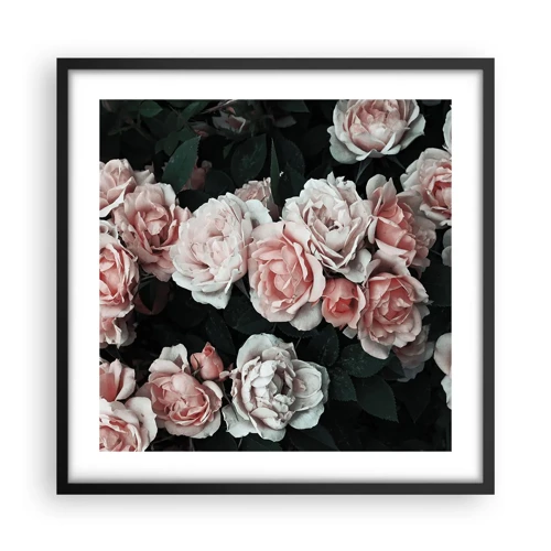 Affiche dans un cadre noir - Poster - Ensemble de rose - 50x50 cm