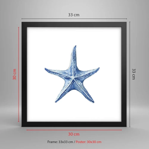 Affiche dans un cadre noir - Poster - Étoile de mer - 30x30 cm