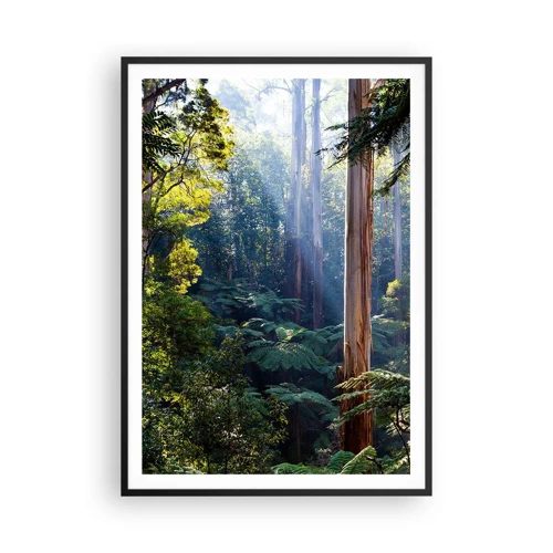 Affiche dans un cadre noir - Poster - Fable de la forêt - 70x100 cm