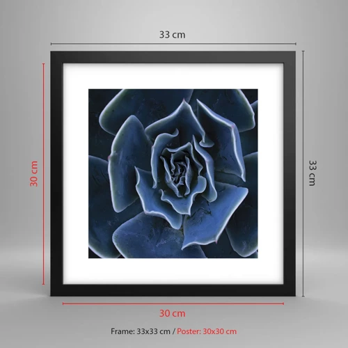Affiche dans un cadre noir - Poster - Fleur du désert - 30x30 cm