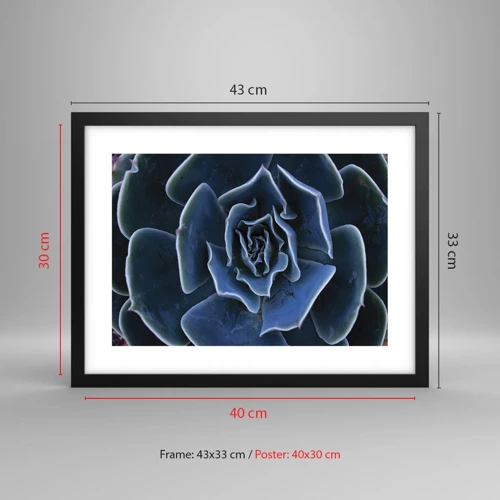 Affiche dans un cadre noir - Poster - Fleur du désert - 40x30 cm
