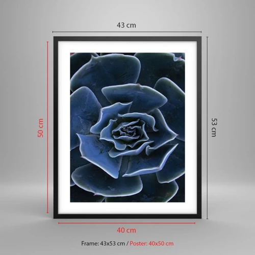 Affiche dans un cadre noir - Poster - Fleur du désert - 40x50 cm