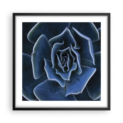 Affiche dans un cadre noir - Poster - Fleur du désert - 50x50 cm