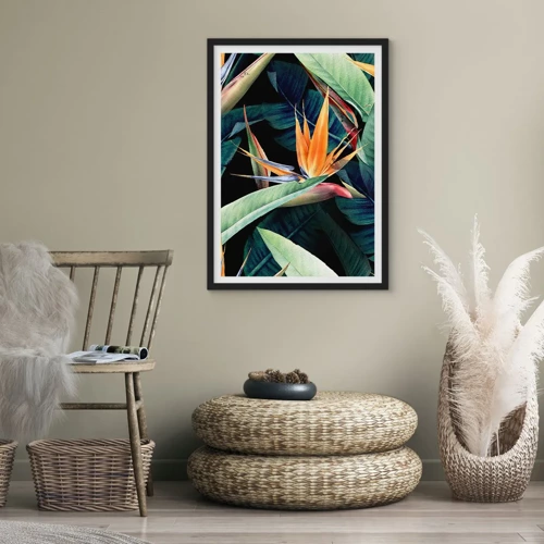Affiche dans un cadre noir - Poster - Fleurs flamboyantes des tropiques - 50x70 cm