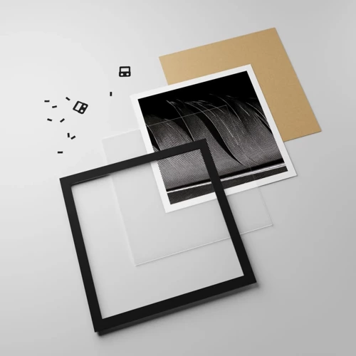 Affiche dans un cadre noir - Poster - La plume – un design magnifique - 60x60 cm