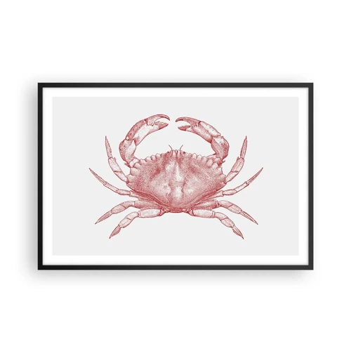 Affiche dans un cadre noir - Poster - Le crabe des crabes - 91x61 cm