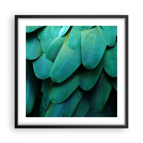 Affiche dans un cadre noir - Poster - Perfection de la nature du perroquet - 50x50 cm