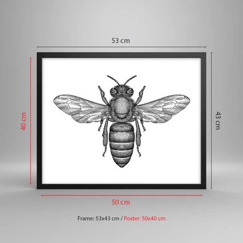 Affiche dans un cadre noir - Poster - Portrait d'insecte - 50x40 cm