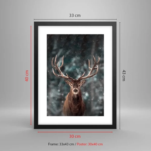 Affiche dans un cadre noir - Poster - Roi de la forêt couronné - 30x40 cm