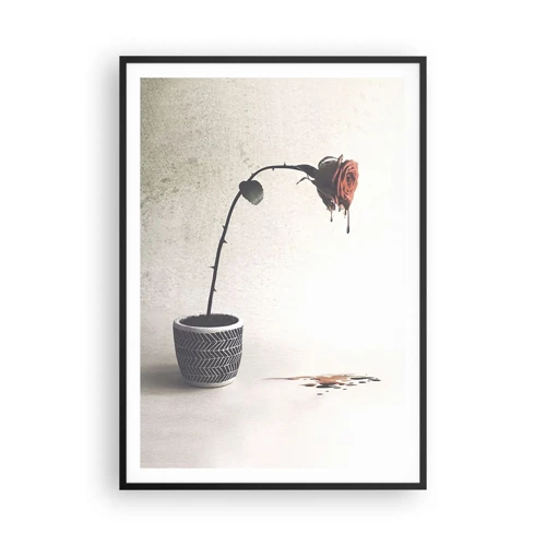 Affiche dans un cadre noir - Poster - Rosa dolorosa - 70x100 cm